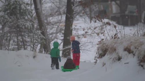 Kids Pulling Their Little Sister on a Sled Through Snow Woods, Slow Motion