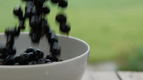 Fresh Currants Falling Into White Bowl Outdoors