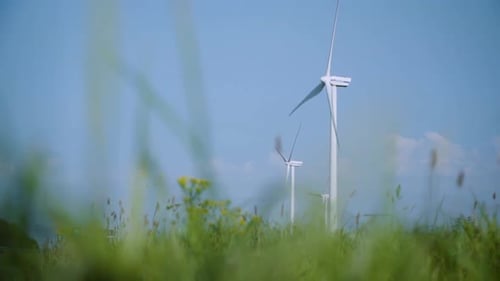 Turning Wind Turbines Creating Energy with Long Grass Fields and Yellow Daisies view under Clear Blu