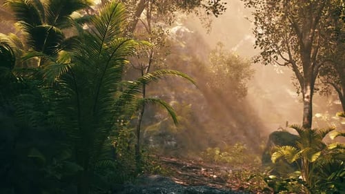 Sunlight Filters Through Lush Foliage in a Tranquil Forest Setting at Dawn