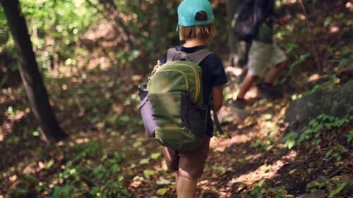 Two Boys with Backpacks Hike Along a Forest Trail in the Mountains Discovering the Wonders of Nature