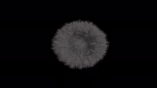 Large circle shockwave of fire and smoke on transparent background