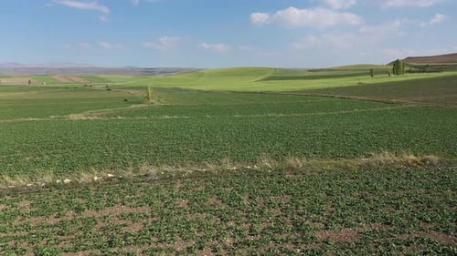 Aerial View Of Fertile Farmland