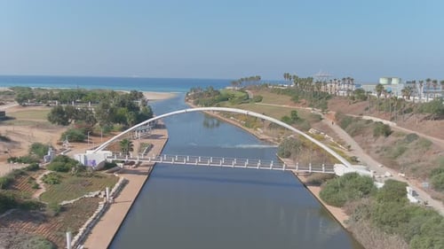 A drone view of sharks swimming in clear water, Hadera in Israel