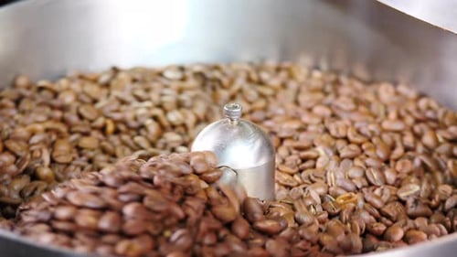 Coffee Beans Being Roasted in Industrial Machine