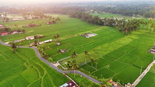 Flying Over Rice Paddies In Bali.