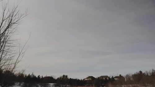 Dramatisch Himmel über dem weißen Schnee mit kahlen Bäumen im Winter — Tilt-Down-Aufnahme