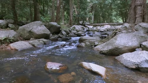 Peaceful Forest River - Stream Flows Among Rocks - Fresh Creek Waterhole