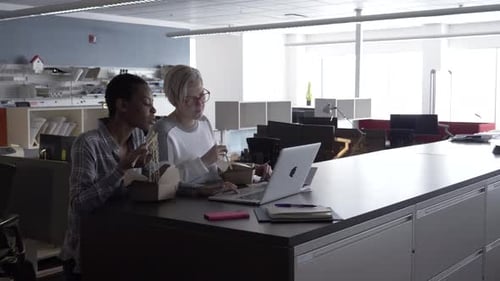 Two Female Colleagues Eating Lunch in Office Adult