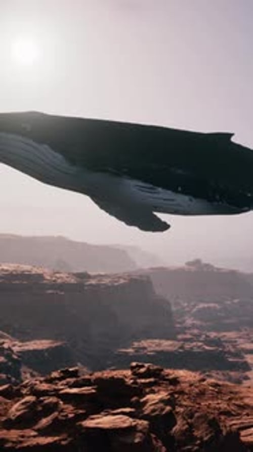 A Large Whale is Floating in the Air