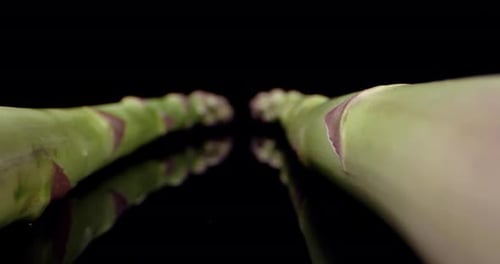 Frischer Spargel, grünes, hochwertiges, gesundes Gemüse, Super-Nahaufnahme, HQ 4k