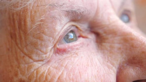 Portrait of Elderly Woman Watching Pensive to Distance Close Up of Wrinkled Female Face Grandmother