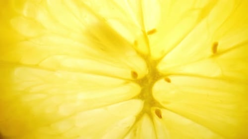 Macro Shot of Translucent Lemon Slice