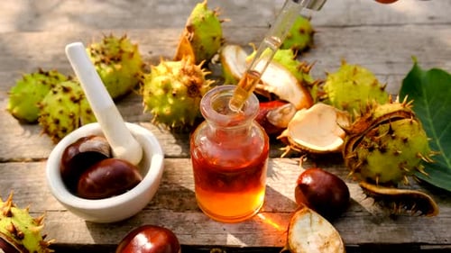 Chestnut Tincture in a Bottle Selective Focus