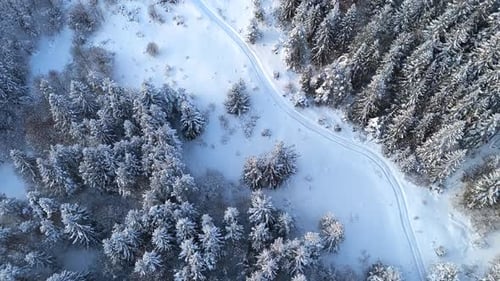 Vue aérienne de haut en bas d'une route enneigée serpentant à travers une forêt d'épinettes gelée