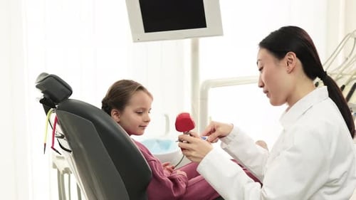 Side View of Young Pretty Asian Pediatric Dentist Showing to Preschool Girl How to Brush Teeth