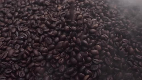 Roasted Coffee Beans Poured Into Pile with Smoke