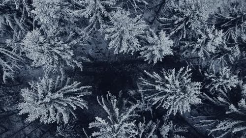 Cinematic Drone Aerial View of Snow Mountain Peak Nature Countryside