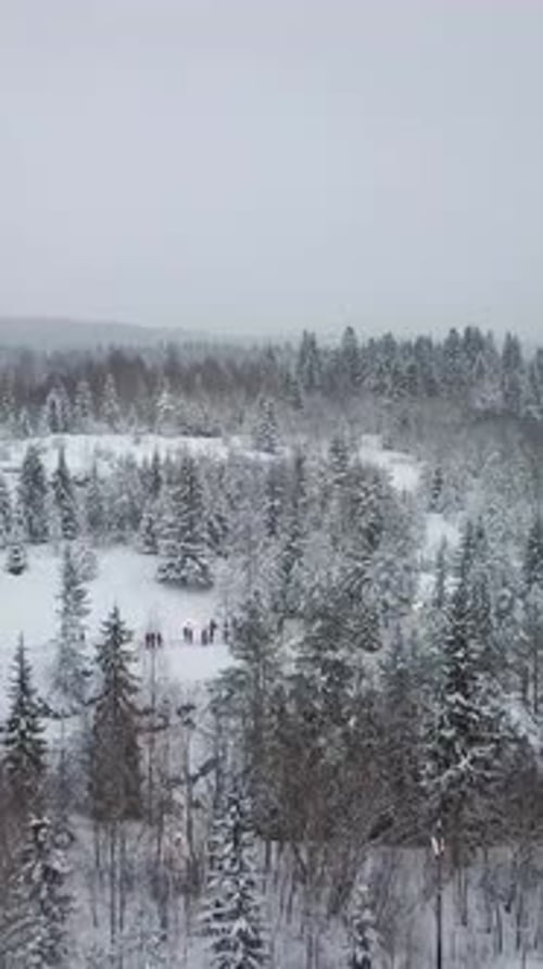 Vertical of Aerial View of Village in Snowy Forest