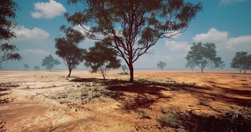 Camera Panning Through Dry Natural Landscape