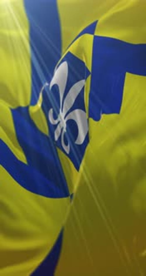 Animated Vertical Waving Flag with Blue Cross and White Fleur-de-lis
