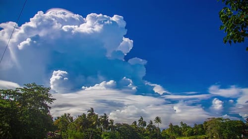 Tropischer Zeitraffer mit leuchtenden Wolken und üppigen Palmen unter strahlend blauem Himmel