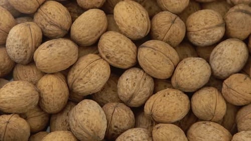 Walnut in Shell Background View From Above Healthy Food Top View