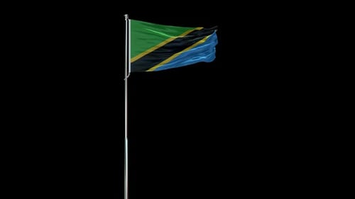 Realistic Waving Tanzania Flag on a Pole