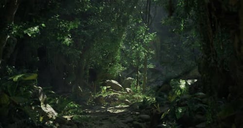 Lush Green Forest Path with Sunbeams and Mist