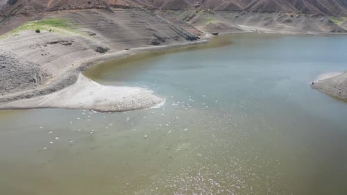 Pássaros voando sobre o lago․ Vista aérea do Reservatório Azat, Armênia.