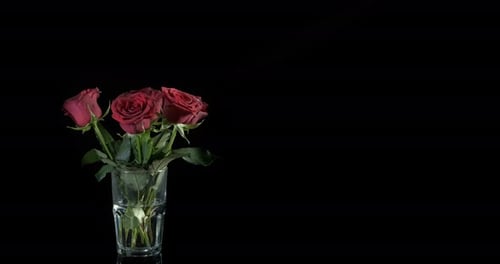 Bouquet of Red Roses in Glass on Black