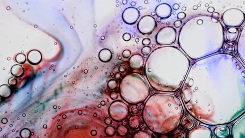 Mixing Paint Oil Gel Drops Bubbles and Spheres Flowing on Surface Macro Shot Abstract Colorful Color