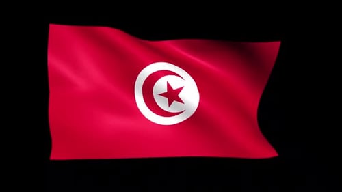Realistic Waving Flag of Tunisia Loop