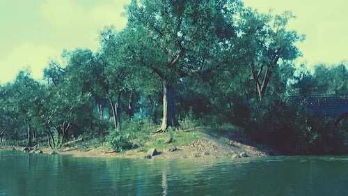 Beautiful Scenic in the Park
