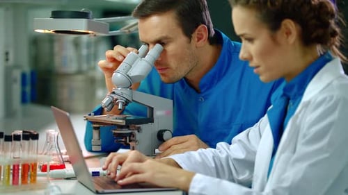 Scientists working with microscope and laptop in laboratory