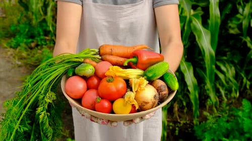 Fresh Garden Vegetables in Bowl Held Outdoors