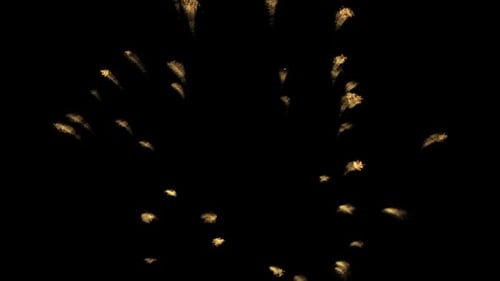 Fire bomb