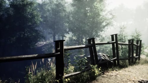 A Wooden Fence Surrounded By Lush Green Trees in a Serene Forest Setting
