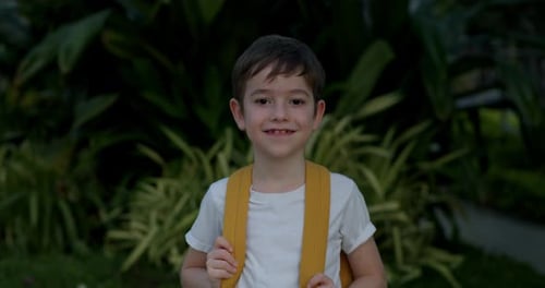 Portrait Handsome Child of a Happy Cute School Boy a Smiling School Boy Cute Little Boy with a