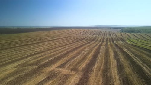 Agricultural field aerial view of farming in Ukraine