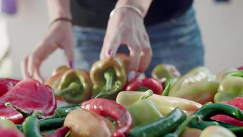 Weibliche Hände sortieren Paprika in verschiedenen Formen und Farben, Nahaufnahme