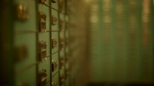 Two Professionals in Thought in the Vault Room