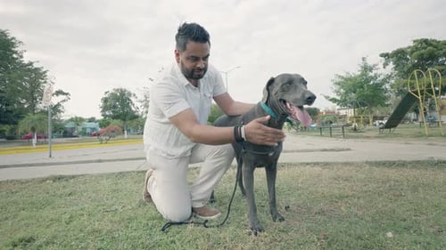 Man Petting Dog at an Urban Park