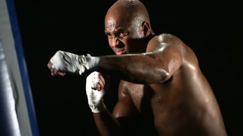 Boxer Training with Punching Bag 30s