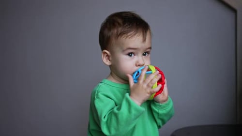 Dark-haired toddler keeping a toy at his mouth. Little baby playing with toys in the room.