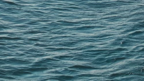 Meer