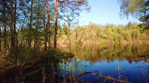 Spring, Arboretum Rubovsky, Quarry And Western Dvina 41