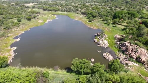 Small pond surrounded by green trees and grass with blue sky and white clouds reflecting in the wate