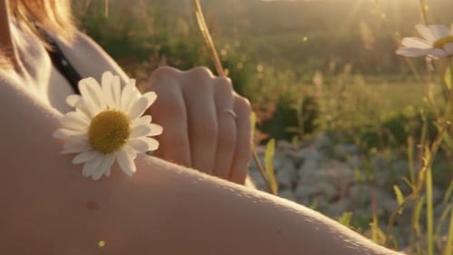 A Woman is Peacefully Enjoying Nature in a Serene Meadow at Sunset Surrounded By Daisies The Gentle