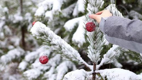 Weihnachtsbaum. Die Atmosphäre von Weihnachten und Neujahr